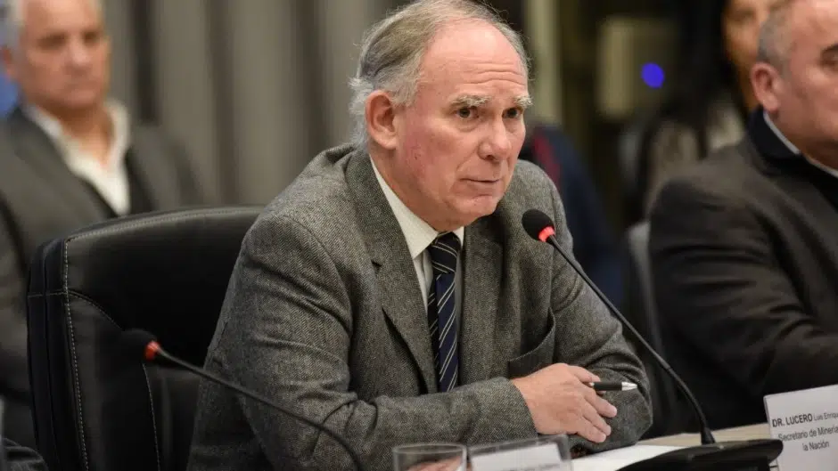 Disputa Portuaria: El Gran Rosario y Zárate Compiten por el Negocio de la Minería