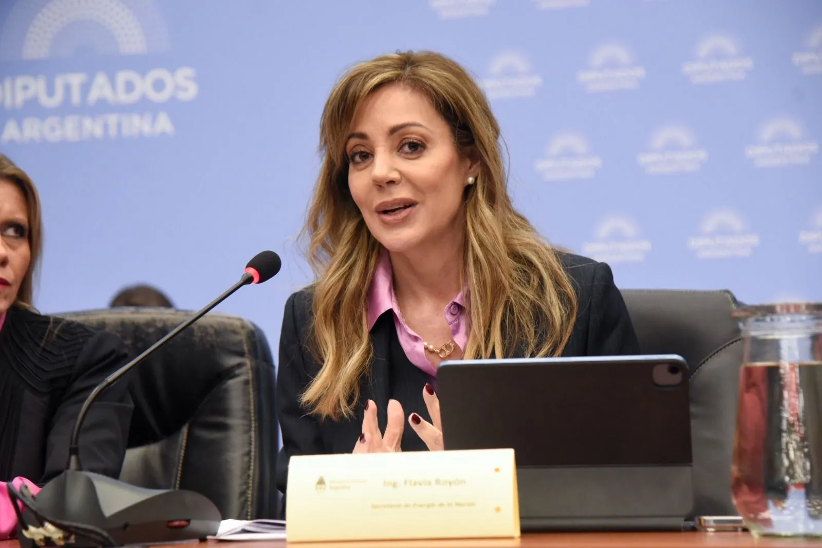 Flavia Royón encabeza la Comisión de Minería, Energía y Combustibles en un momento clave para el RIGI y las inversiones del NOA