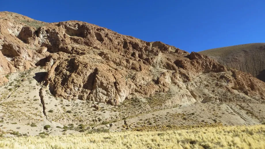 Latin Metals y Aumin acuerdan plan de perforación y opción de compra por el proyecto Organullo